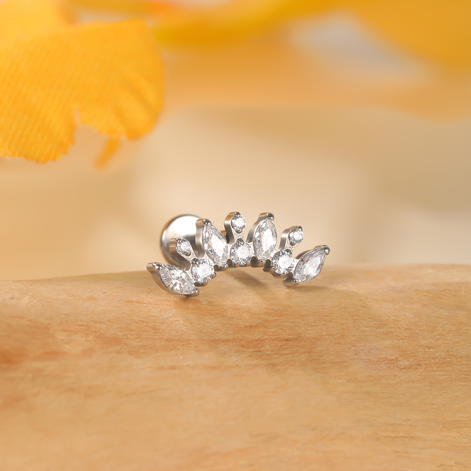 1PC Titanium Zirconia Dolphin  - Body Jewelry Internally Threaded reseña y precio